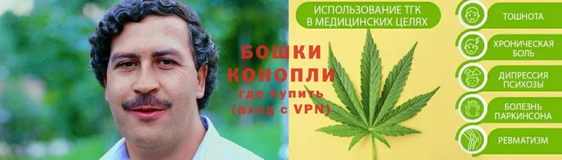 Бошки Шишки THC 21%  купить наркотики сайты  Зеленогорск 